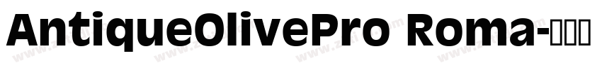 AntiqueOlivePro Roma字体转换